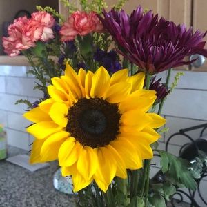 Meet your Posher, Beth